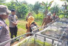 Lokasi yang diikutikan pada lomba P2B Polda Banten. Foto: Yono