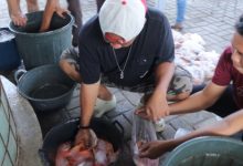 Kapolres Serang, AKBP Condro Sasongko panen perdana ikan nila merah. Foto: Yono