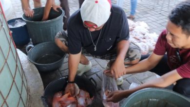 Kapolres Serang, AKBP Condro Sasongko panen perdana ikan nila merah. Foto: Yono