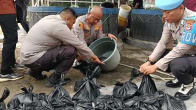 Kapolres Serang, AKBP Condro Sasongko tengah panen ikan lele di Mapolsek Cikande. Foto: Yono