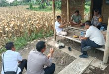 Kapolres Serang, AKBP Condro Sasongko cek lokasi bakal panen raya jagung. Foto: Yono