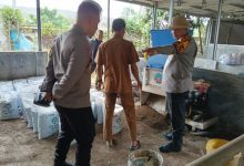 Kapolres Serang, AKBP Condro Sasongko meninjau pembuatan kompos di Desa Tegal Maja. Foto: Yono