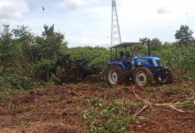 Penambahan luas lahan tanaman jagung di Kampung Kabayan. Foto Yono