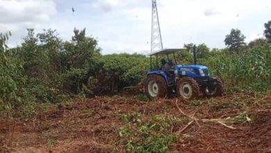 Penambahan luas lahan tanaman jagung di Kampung Kabayan. Foto Yono