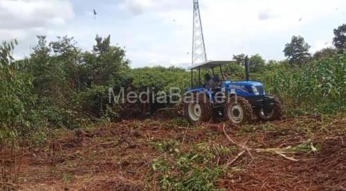 Penambahan luas lahan tanaman jagung di Kampung Kabayan. Foto Yono