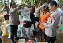 Kapolres Serang, AKBP Condro Sasongko pimpin penanaman jagung. Foto Yono
