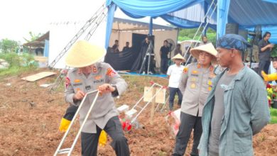 Kapolres Serang, AKBP Andri Kurniawan dampingi Kapolda Banten Irjen Pol Hengki lakukan penanaman jagung. Foto Yono