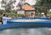 Kapolres Serang, AKBP Condro Sasongko meninjau sistem bioflok budi daya ikan di Desa Mekarbaru, Kecamatan Kopo. Foto: Yono