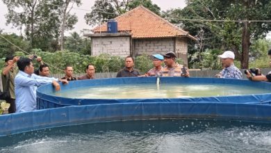 Kapolres Serang, AKBP Condro Sasongko meninjau sistem bioflok budi daya ikan di Desa Mekarbaru, Kecamatan Kopo. Foto: Yono