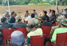 Salah satu lokasi lahan yang bakal dijadikan swasembada jagung. Foto: Yono