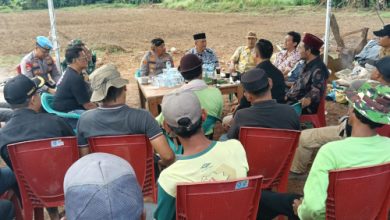 Salah satu lokasi lahan yang bakal dijadikan swasembada jagung. Foto: Yono