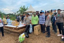 Kapolres Serang, AKBP Condro Sasongko menanam bibit jagung. Foto: Yono
