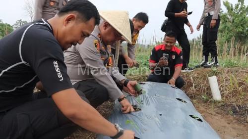 Kapolres Serang, AKBP Condro Sasongko menanam bibit buah melon di Rancasumur. Foto: Yono