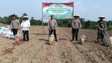 Kapolres Serang, AKBP Condro Sasongko tanam raya jagung kuartal III di Cemplang. foto: Yono