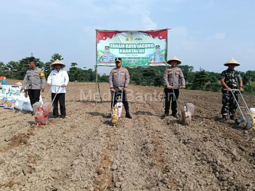 Kapolres Serang, AKBP Condro Sasongko tanam raya jagung kuartal III di Cemplang. foto: Yono