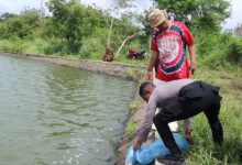 Kapolres Serang, AKBP Condro Sasongko menebar bibit ikan di danau Puspemkab Serang. Foto: Yono