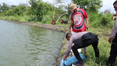 Kapolres Serang, AKBP Condro Sasongko menebar bibit ikan di danau Puspemkab Serang. Foto: Yono