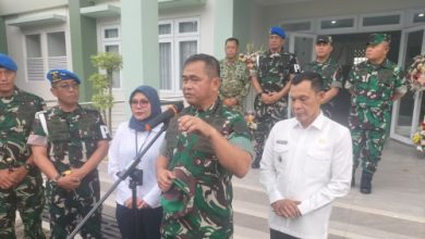 Kepala Staf TNI AD, Jenderal TNI Maruli Simanjuntak. Foto: Antara