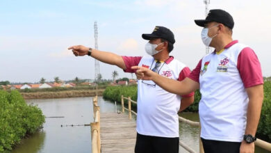 bupati tangerang meninjau lokasi penataan Ketapang