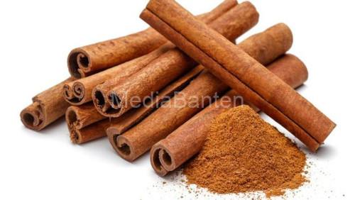Kayu manis atau Cinnamomun SPP. Foto: Istimewa