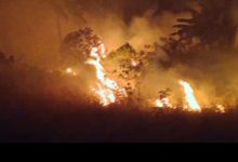 Kebakaran hutan dan lahan di Desa Banyuasih, Kecamatan Cigeulis, Kabuapten Pandegalng. Foto Daeng Yusvin