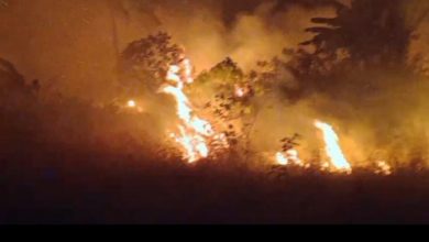 Kebakaran hutan dan lahan di Desa Banyuasih, Kecamatan Cigeulis, Kabuapten Pandegalng. Foto Daeng Yusvin