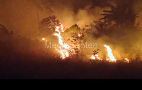 Kebakaran hutan dan lahan di Desa Banyuasih, Kecamatan Cigeulis, Kabuapten Pandegalng. Foto Daeng Yusvin