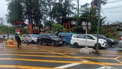 Kemacetan jalur puncak - Cianjur capai 12 Km. Foto: Antara