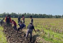 KKN Kelompok 19 Unma melakukan normalisasi irigasi di Desa Weru. Foto Nana