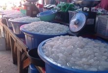 Penjualan koloang-kaling meningkat di Lebak. Foto: Antara