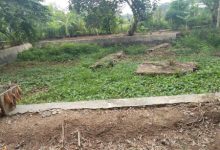 Kondisi kolam di Hutan Kota Serang di Jalan Syeh Nawawi Al Bantani, Banjarsari. Foto: Adam Maulana