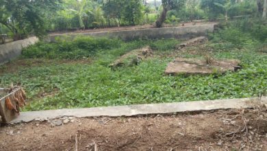 Kondisi kolam di Hutan Kota Serang di Jalan Syeh Nawawi Al Bantani, Banjarsari. Foto: Adam Maulana