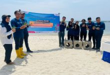 Pelestarian terumbu karang dilakukan PT Pertamina Patra Niaga di Pulau Untung Jawa. Foto: Humas Pertamina RJBB