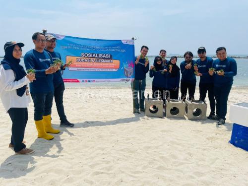 Pelestarian terumbu karang dilakukan PT Pertamina Patra Niaga di Pulau Untung Jawa. Foto: Humas Pertamina RJBB