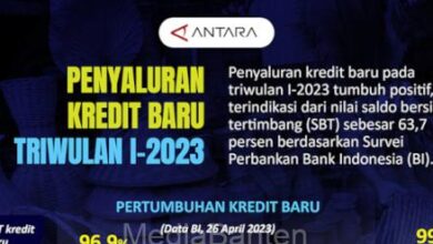 infografis penyaluran kredit. Foto: LKBN Antara