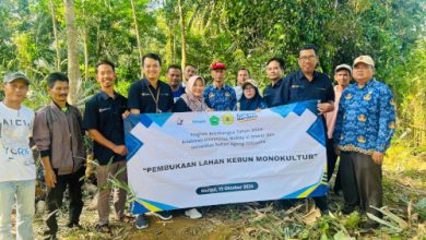 Pembukaan lahan gula aren di Pandeglang. Foto: Eko Supriatno