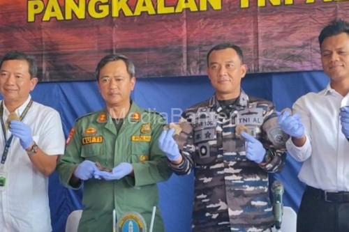 Lanal Banten menggagalkan penyelundupan kulit trenggiling. Foto Antara