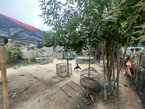 Lapak judi sabung ayam di Ciruas yang digerbek polisi. Foto: Yono