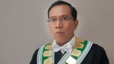 Peneliti Senior BRIN, Prof Lili Romli. Foto: Antara