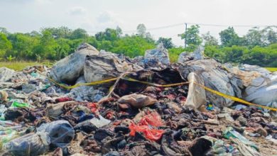 Tumpukan limbah B3 Medis dekat sebuah perumahan di Walantaka, Kota Serang. foto: Antara
