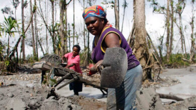 Salah satu sungai yang mendangkal akibat limbah tailing PT Freeport di Mimika. Foto: VoaIndonesia