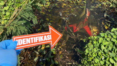 Lokasi penemuan mayat di pinggir empang di Kelurahan Sawah Luhur. Foto: Yono