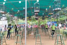 Lomba Burung Berkicau di Walantaka, Kota Serang. Foto: Rizki