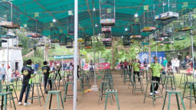 Lomba Burung Berkicau di Walantaka, Kota Serang. Foto: Rizki