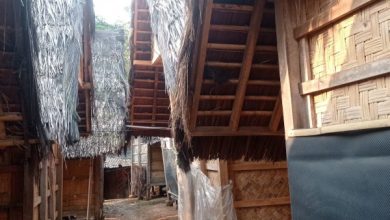 Deretan lumbung gabang di Baduy, Kabupaten Lebak. Foto: LKBN Antara