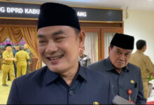 Mad Romli, Wakil Bupati Tangerang. Foto: Iqbal Kurnia