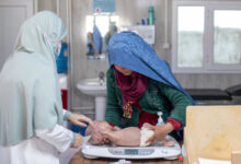 Seorang bayi yang lahir dengan malnutrisi. Foto: Mahab Azizi / MSF