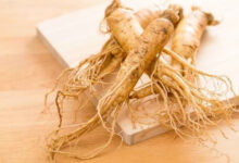 Ginseng Korea. Foto: Alodokter