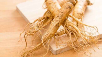 Ginseng Korea. Foto: Alodokter