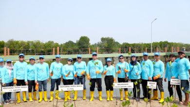 Penanaman pohon Mangrove di Kepulauan Seribu. Foto: Humas Pertamina Patra Niaga RJBB